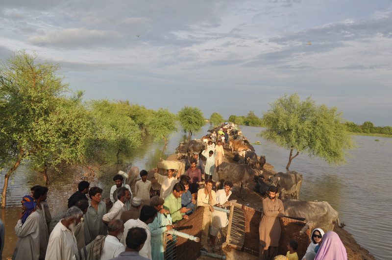 Shahdadpur, Sanghar district: Residents collecting their belongings on a higher ground outside village. Photo: Tariq Masood Malik/Oxfam