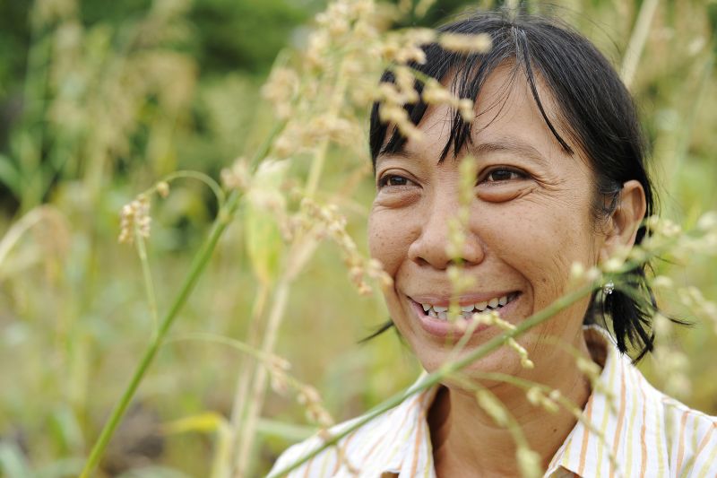 Maria Loretha in a field of sorghum. Photo: Lara McKinley/OxfamAUS