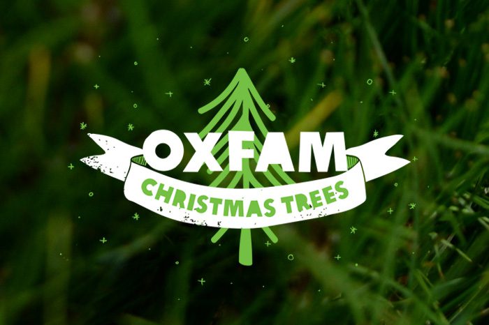 2017 CE 024 Christmas Trees web graphic OAU