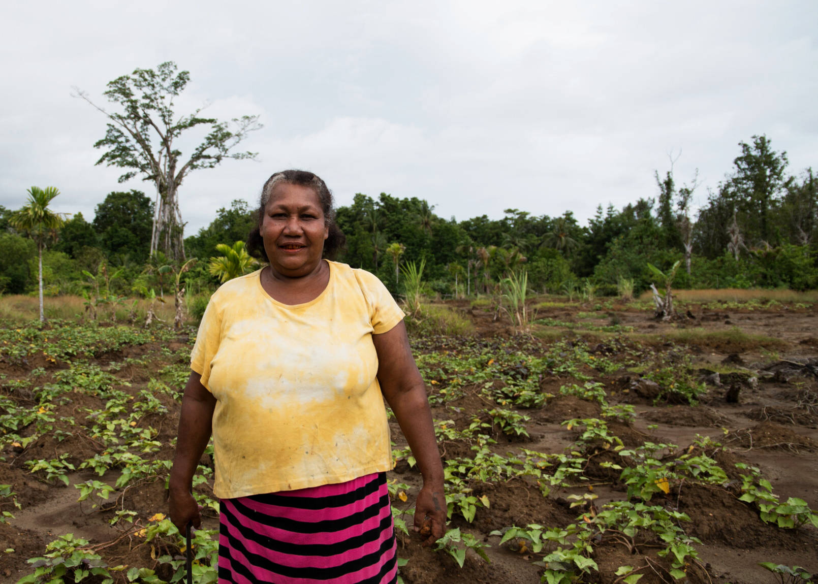 Kwailau, Malaita Province, Solomon Islands: Adriana Wale, stands in her vegetable garden. Much of her usable land has been rendered unable to grow potatoes anymore after being inundated with seawater from rising tides.